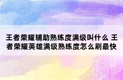 王者荣耀辅助熟练度满级叫什么 王者荣耀英雄满级熟练度怎么刷最快